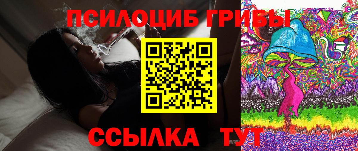 Галлюциногенные грибы Cubensis Волгодонск